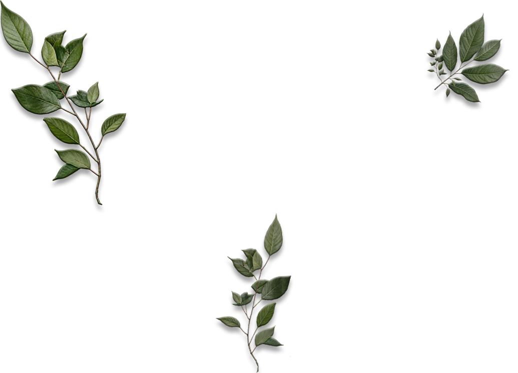 Accessory Element jade