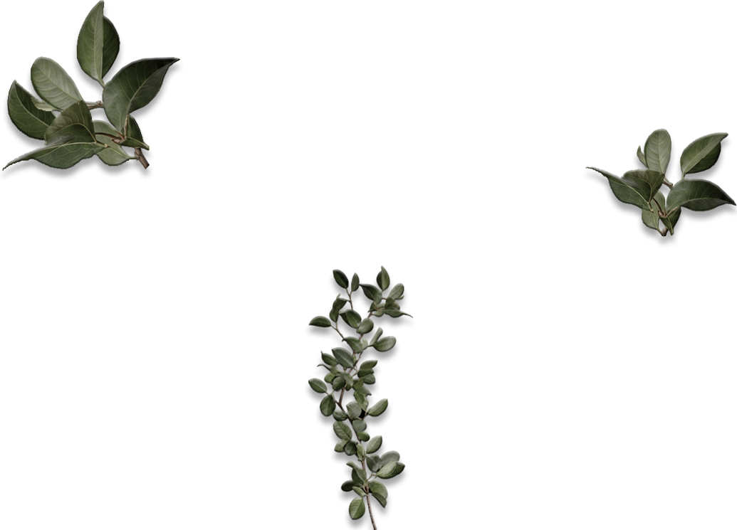Accessory Element frost